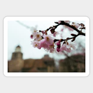 Flowers with blurry building Sticker